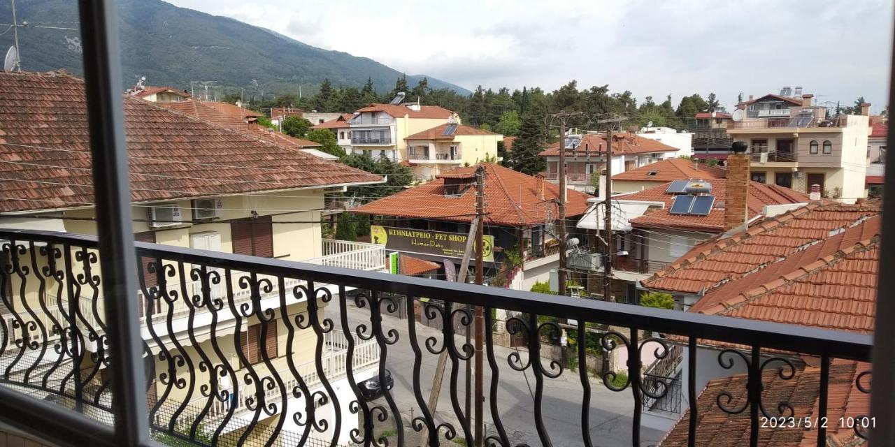 Toula Apartment Litóchoron Dış mekan fotoğraf